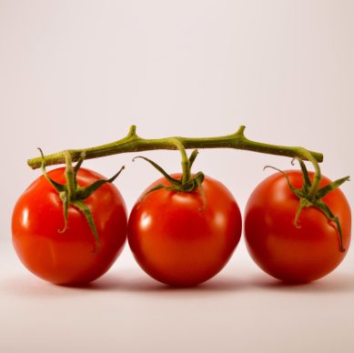 pomodoro_photo